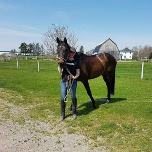 Meet your Posher, Chantelle